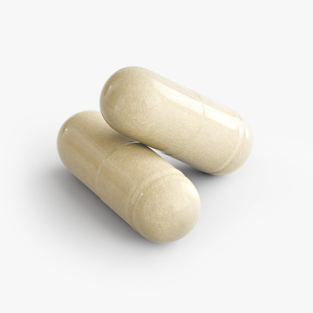 Gut Health by Ageless Labs – lifestyle product shot